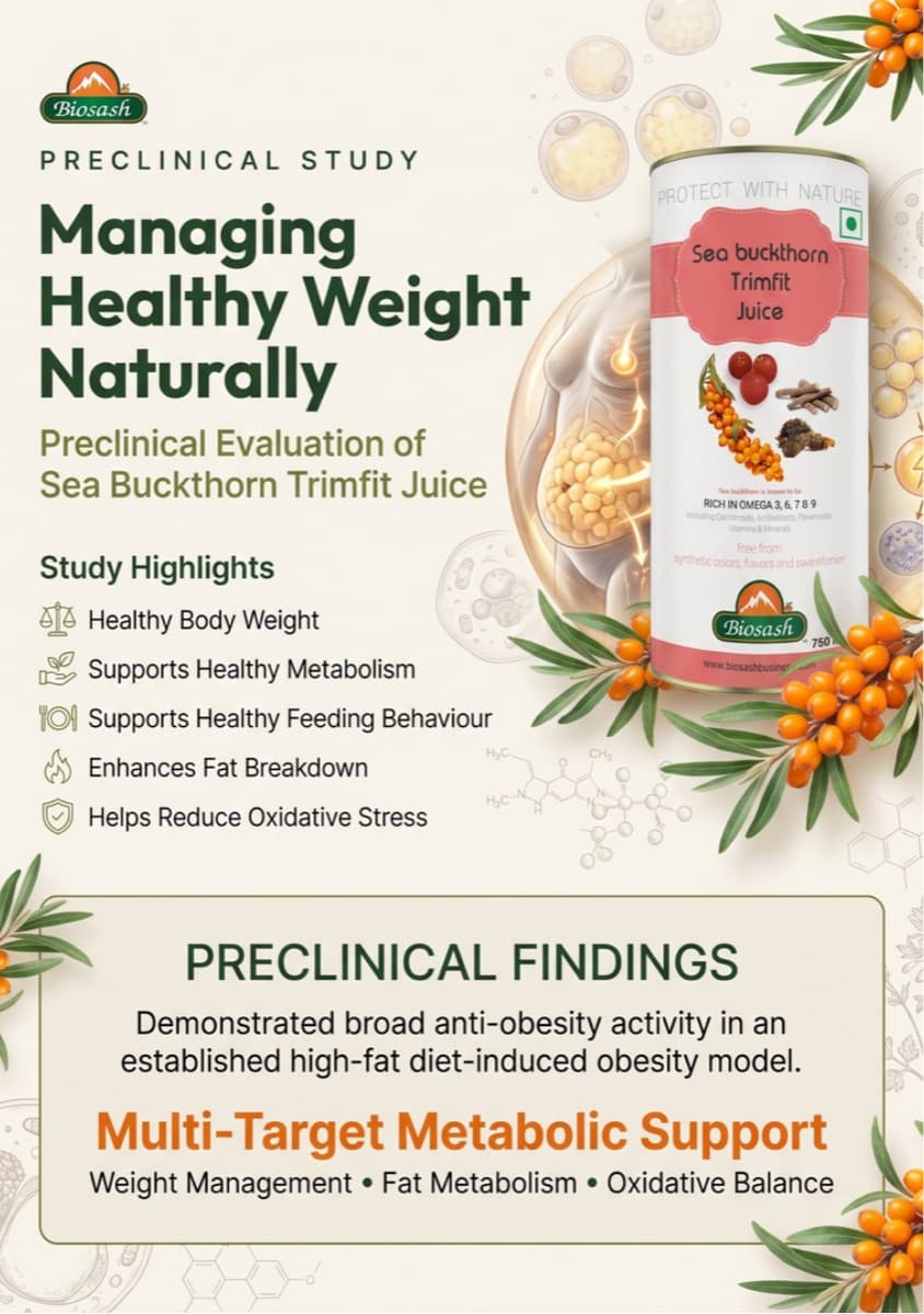 Pre-clinical study — Sea Buckthorn Trimfit Juice
