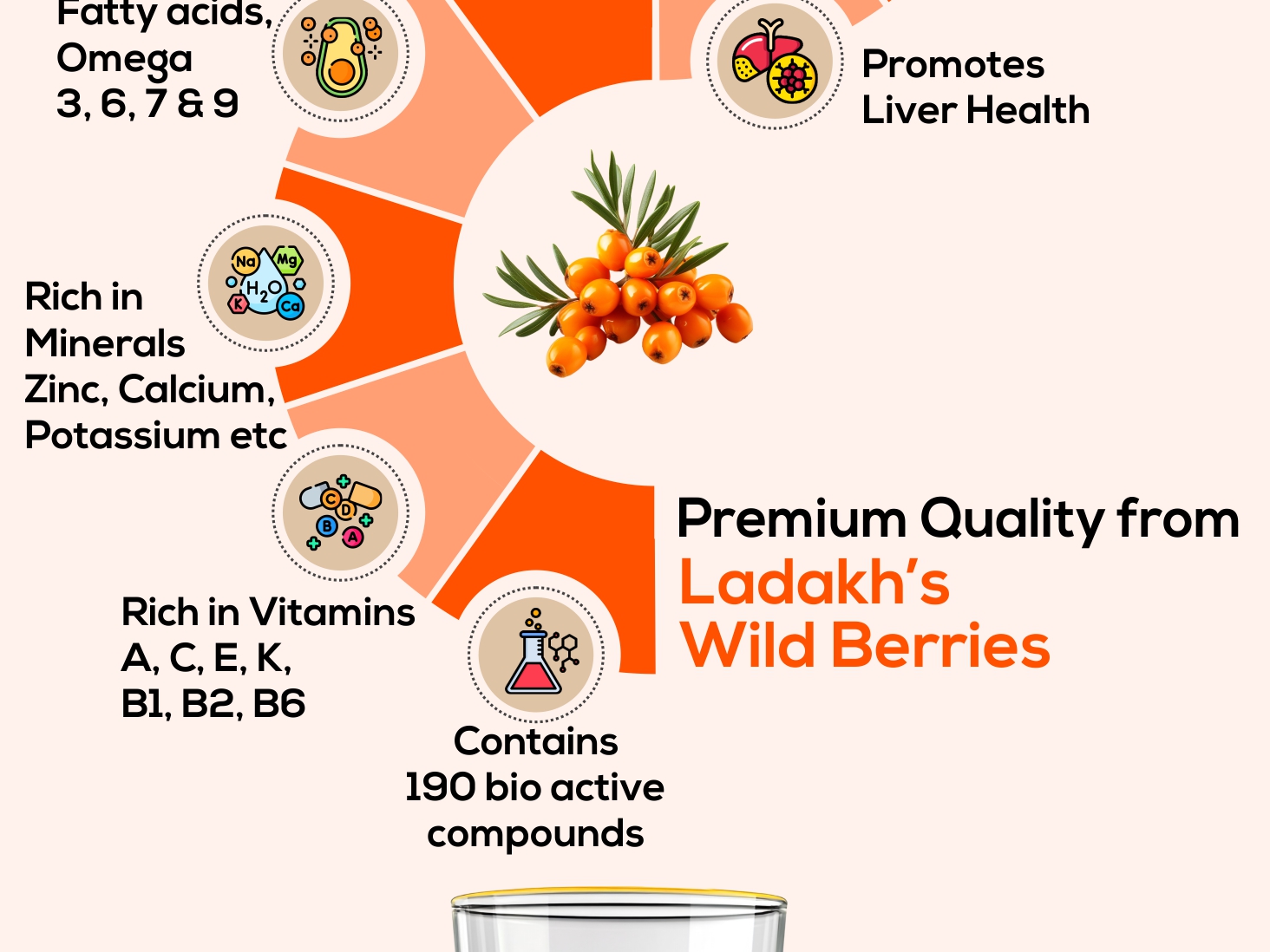Sea Buckthorn Livosash Juice