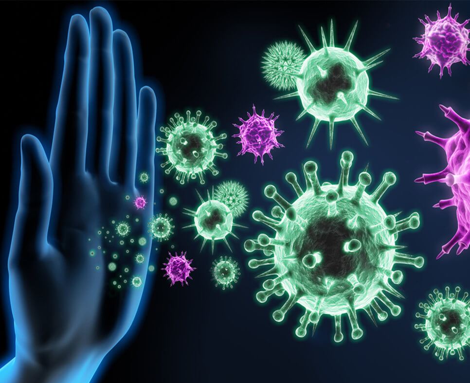 Antiviral Activities