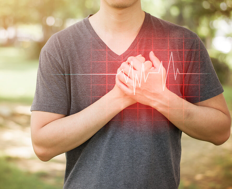 Healthy Cardiovascular System
