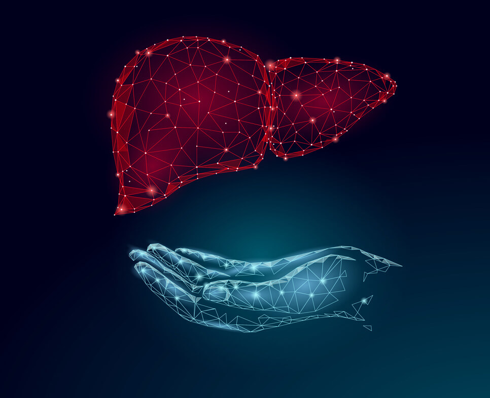 Healthy Liver