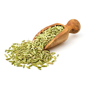 Fennel (Saunf)